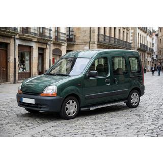 Боковые Подножки Duru (2 шт., Алюминий) Renault Kangoo 1998-2008 гг. фото 1