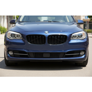 Ноздри M-Look (Черный Глянец) BMW 5 серия F07 2009–2017 гг. фото 1