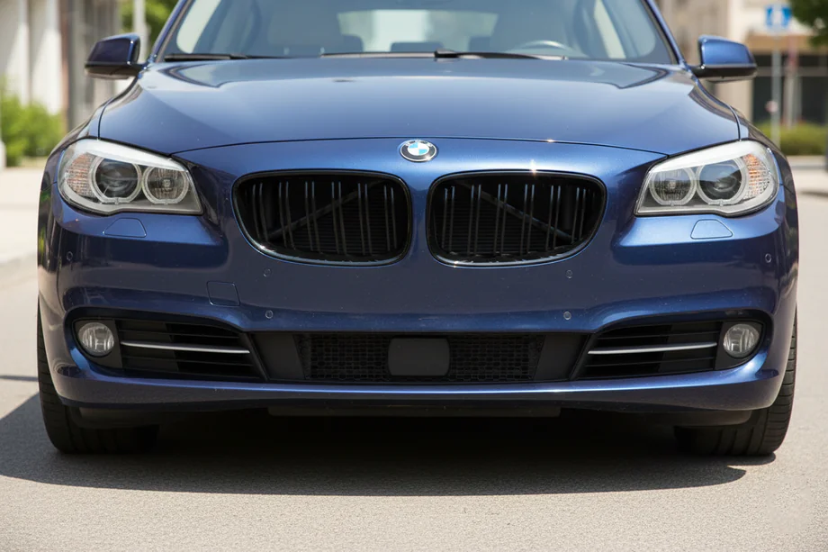 BMW 5 серия F07 2009–2017 гг. Ноздри M-Look (Черный Глянец)