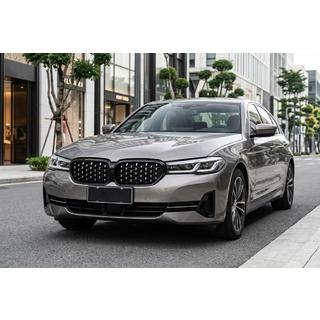 Ноздри Diamond Silver (2021-2023) фото 1