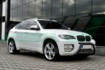 BMW X6 E71 2008–2014 гг. Кенгурятник WT003 Black (нерж) фото 3