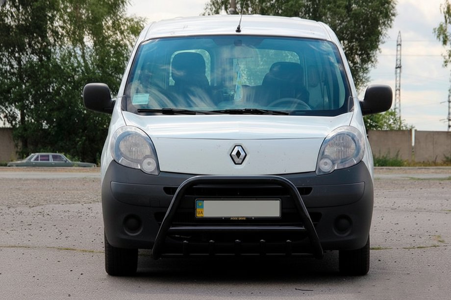 Mercedes Citan 2013-2021 гг. Кенгурятник WT003 Black (нерж) Фото 5
