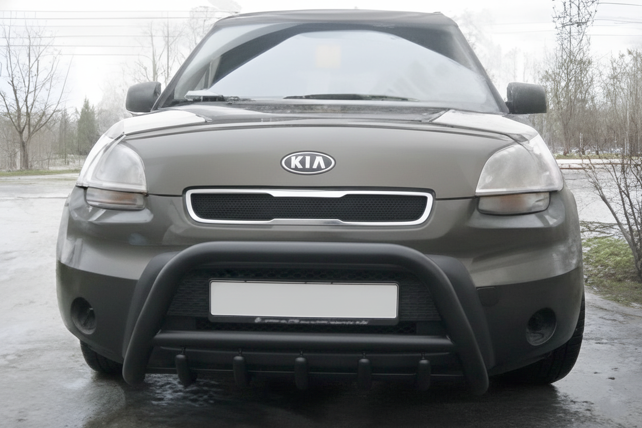 Кенгурятник WT003 Black (нерж) для Kia Soul I 2008-2013 рр