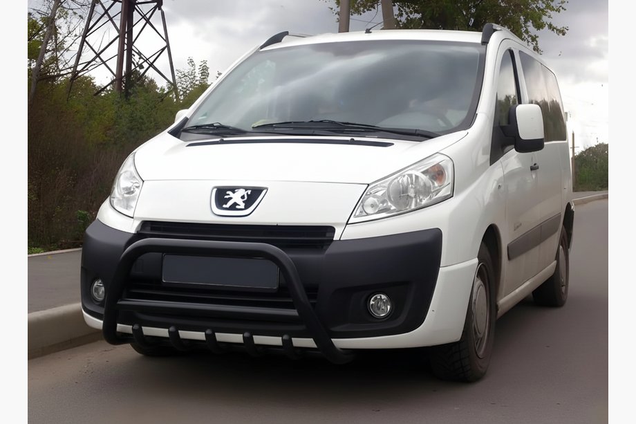 Citroen Jumpy 2007–2017 гг. Кенгурятник WT003 Black (нерж) Image