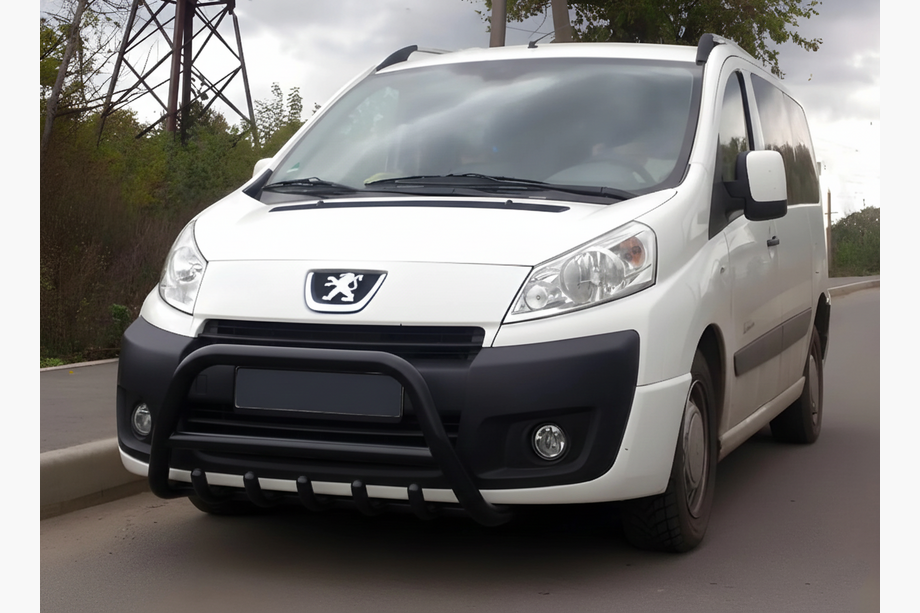 Citroen Jumpy 2007-2017 гг. Кенгурятник WT003 Black (нерж) Image