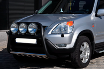 Honda CRV 2001-2006 гг. Кенгурятник WT018 Black (нерж.) фото 2