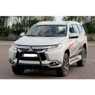 Кенгурятник WT008 Black (нерж) фото 2