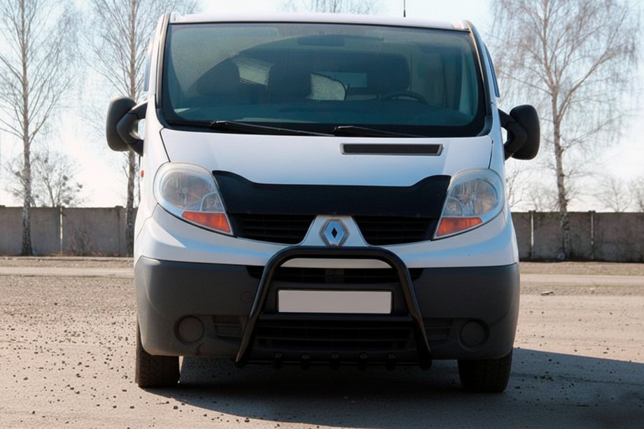Renault Trafic 2001–2015 гг. Кенгурятник QT-Spec Black (нерж.) Image