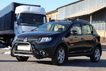 Renault Sandero 2013-2022 гг. Передняя дуга WT006 Black (нерж.) фото 3