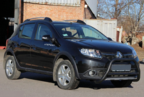 Renault Sandero 2013-2022 гг. Передняя дуга WT006 Black (нерж.) фото 5