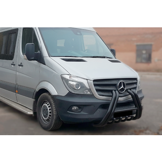 Кенгурятник F1-01 Black (2013-2018, нерж.) фото 1