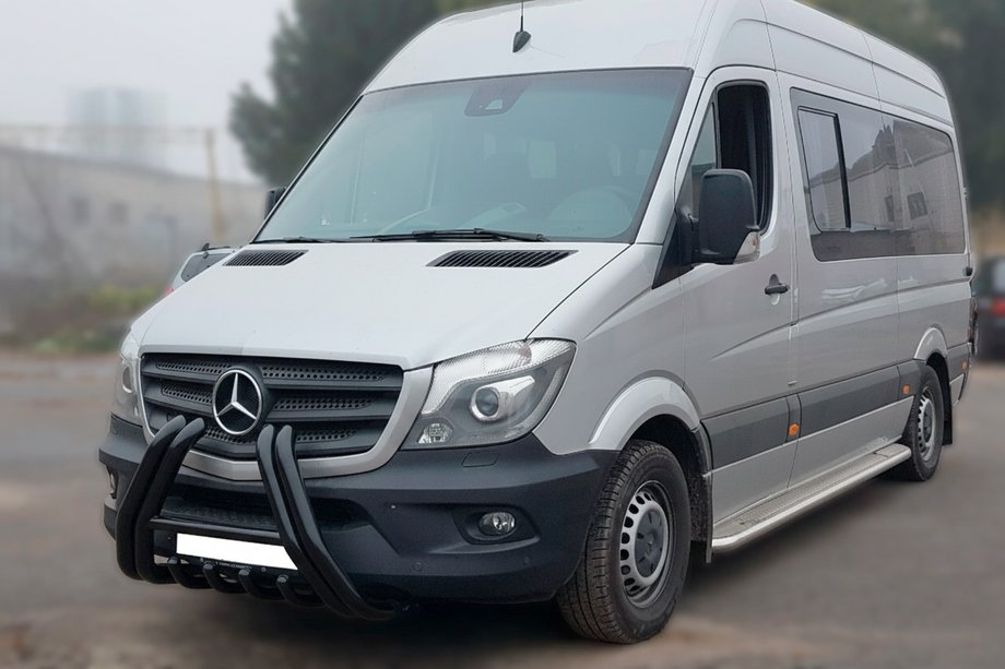 Mercedes Sprinter W906 2006–2018 гг. Кенгурятник F1-01 Black (2013-2018, нерж.) Фото 3