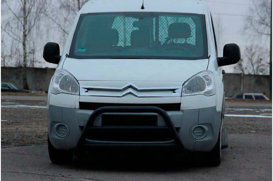 Citroen Berlingo 2008-2018 гг. Кенгурятник WT022 Black (нерж.) Image