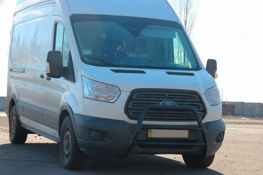 Ford Transit 2014- гг. Кенгурятник WT022 Black (нерж.) Image