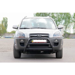 Кенгурятник WT022 Black (нерж.) Hyundai Tucson JM 2004- гг. фото 1