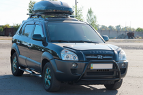 Hyundai Tucson JM 2004- гг. Кенгурятник WT025 Black (нерж.) фото 1