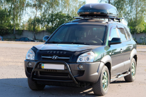 Hyundai Tucson JM 2004- гг. Кенгурятник WT025 Black (нерж.) фото 2