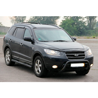 Кенгурятник WT007 Black (нерж.) фото 2