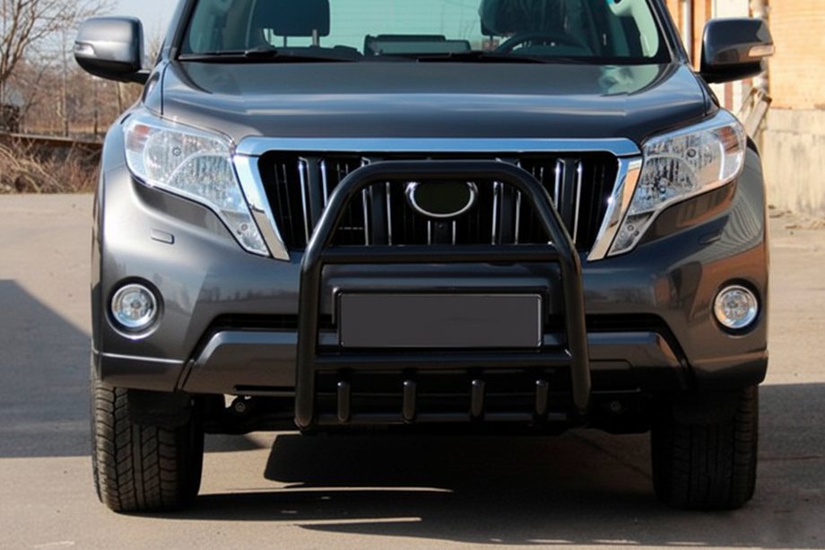 Toyota Land Cruiser Prado 150 2009-2023 гг. Кенгурятник QT007 Black (нерж) Фото 1