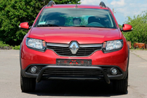 Renault Sandero 2013-2022 гг. Передняя дуга WT007 Black (нерж.) фото 1