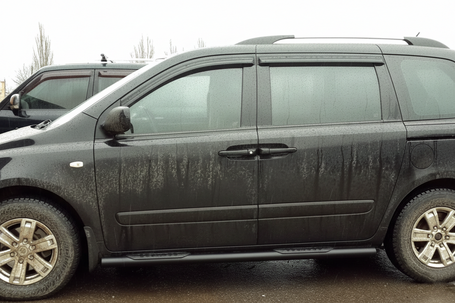 Kia Carnival 2002-2013 гг. Боковые трубы Black (2 шт., нержавейка) Image