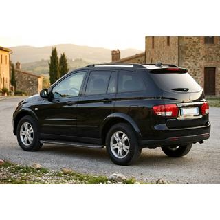 Боковые пороги Bosphorus Black (2 шт., алюминий)