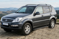 SsangYong Rexton I 2001-2017 гг. Боковые Подножки RedLine Black (2 шт., Алюминий) фото 1