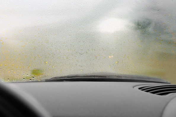Почему потеют стёкла в автомобиле и как с этим бороться?