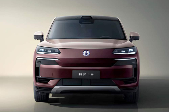 Обзор Denza N9 Plug-in Hybrid: флагманский гибридный гигант от BYD фото 2