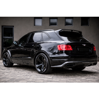 Комплект обвеса Carbon фото 2
