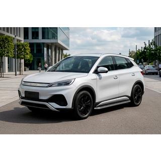 Боковые Подножки Maydos V1 (2 шт., Алюминий и Нержавейка) BYD Atto 3 2021- гг. фото 1