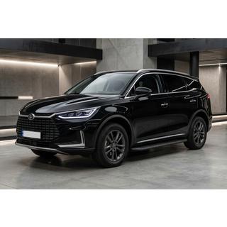 Боковые Подножки Tayga Black (2 шт., Алюминий) фото 1