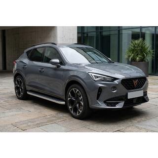 Боковые Подножки Tayga Grey (2 шт., Алюминий) фото 1