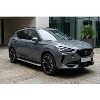 Боковые Подножки Tayga Grey (2 шт., Алюминий) Cupra Formentor 2020- гг. фото 1