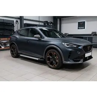 Боковые Подножки Vision New Grey (2 шт., Алюминий) Cupra Formentor 2020- гг. фото 1