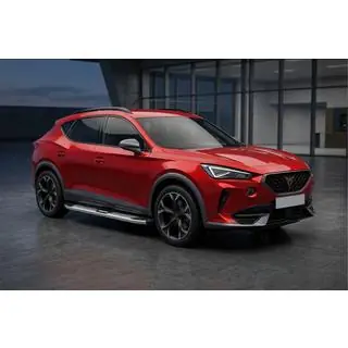 Боковые Подножки Mevsim Grey (2 шт., Алюминий) Cupra Formentor 2020- гг. фото 1
