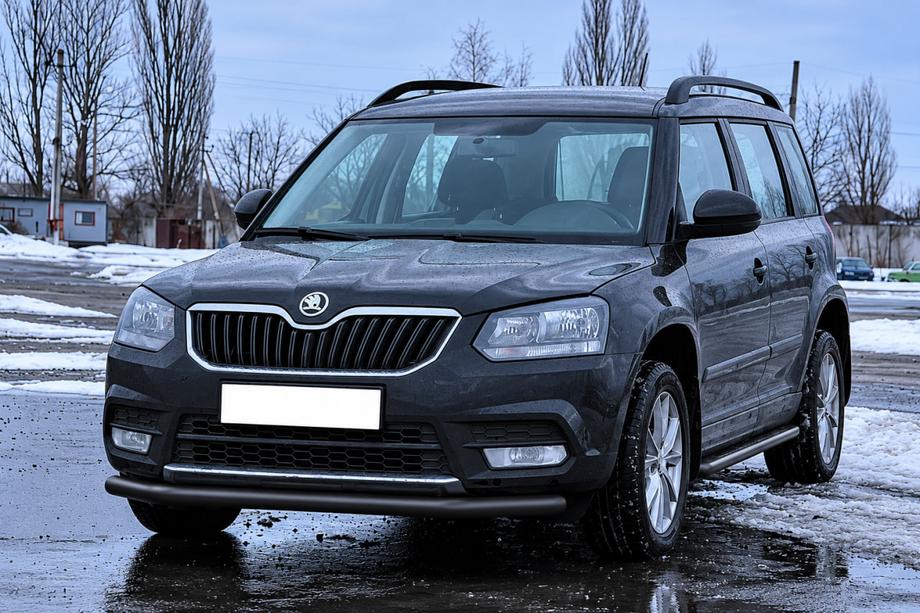Skoda Yeti 2009-2017 гг. Передняя защита ST008 Черная (Нержавейка) Фото 2
