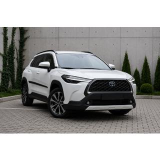 Интегрированные рейлинги черные OEM (ABS-пластик, установка на клей) фото 1