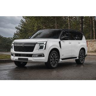 Интегрированные рейлинги черные OEM (Алюминий) фото 1