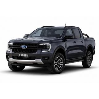 Чёрные рейлинги OEM (ABS-пластик, установка на клей) фото 1
