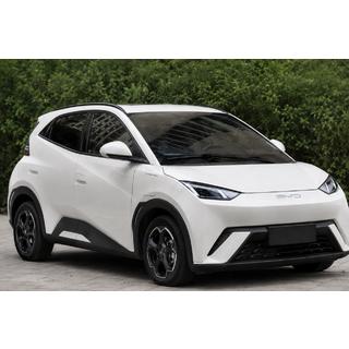Чёрные рейлинги OEM (ABS-пластик, установка на клей)