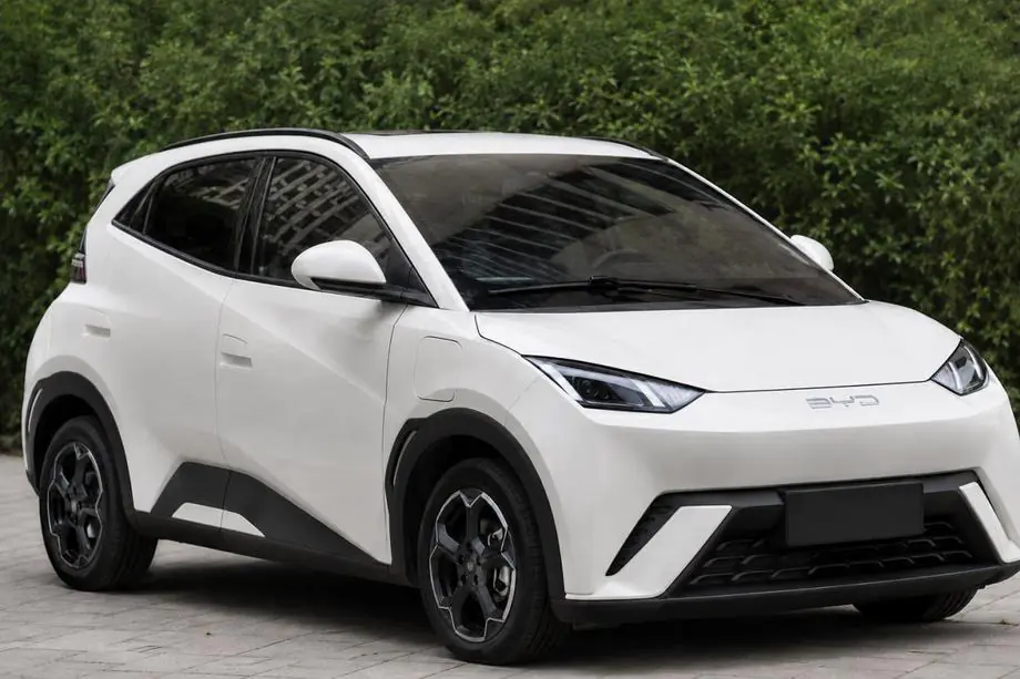 BYD Dolphin 2025– гг. Чёрные рейлинги OEM (ABS-пластик, установка на клей) Фото 1