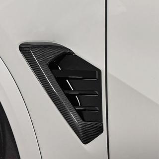 Жабры (карбон + ABS) BMW X5 G05 2019–2026 гг. фото 1