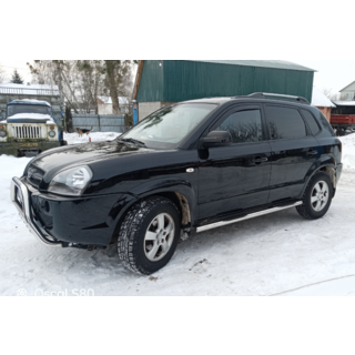 Боковые трубы BB002 (2 шт., нержавейка) фото 1