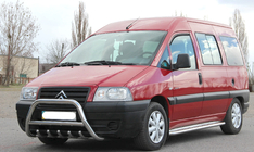 Fiat Scudo 1996-2007 гг. Кенгурятник WT003 (нержавейка) фото 4