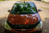 Hyundai Getz 2002- гг. Верхние накладки на зеркала (2 шт., пластик) фото 3