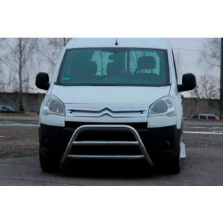 Защита переднего бампера WT022 (нержавейка) фото 1