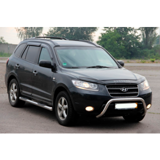 Кенгурятник WT007 (нержавейка) фото 2