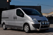 Renault Trafic 2001–2015 гг. Кенгурятник WT018 (нержавейка) фото 2