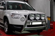 Skoda Yeti 2009-2017 гг. Кенгурятник WT018 (нержавейка) фото 2